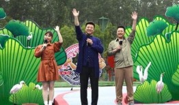 海阳热点爆料最新消息视频,最新视频揭露惊人内幕