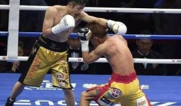 爆料韩红的拳击手视频播放,揭秘幕后健身达人